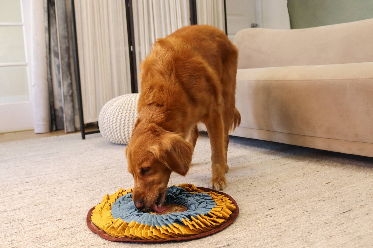 Cookie Snuffle Mat - Blue Orange