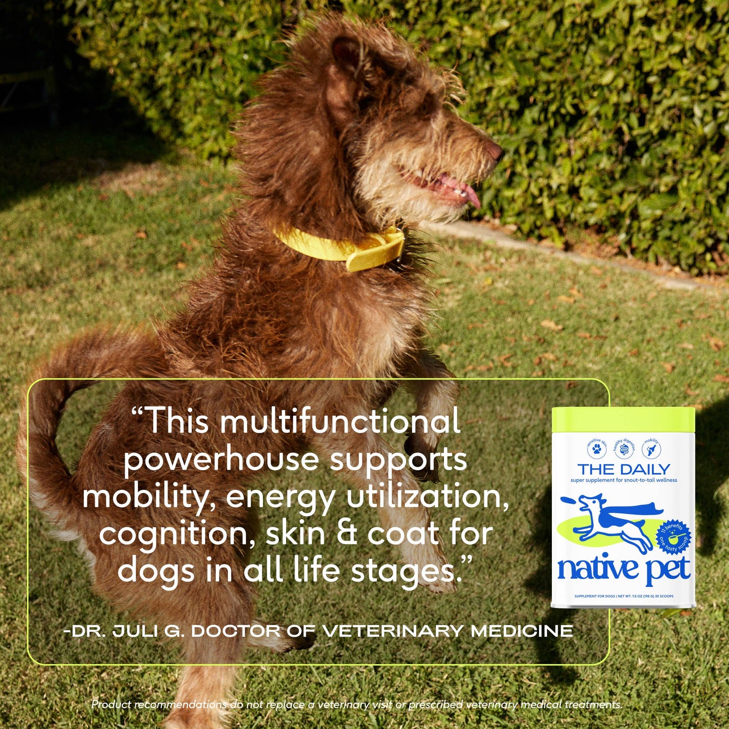 The Daily Powder Supplement, 11-in-1 Multivitamins for Dogs: 7oz