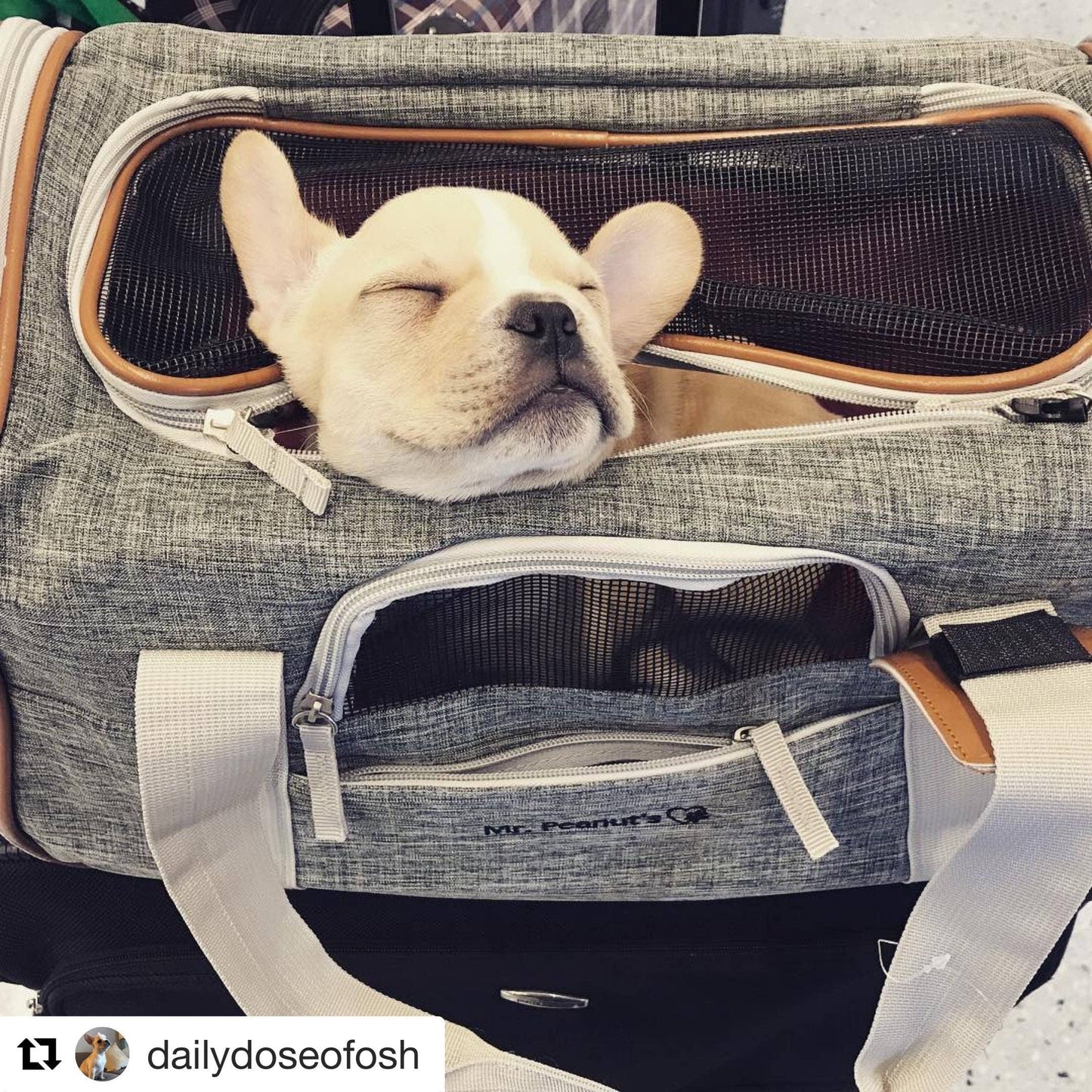 Mr. Peanut's Platinum Series Double Expandable Pet Carrier: Snowflake Gray