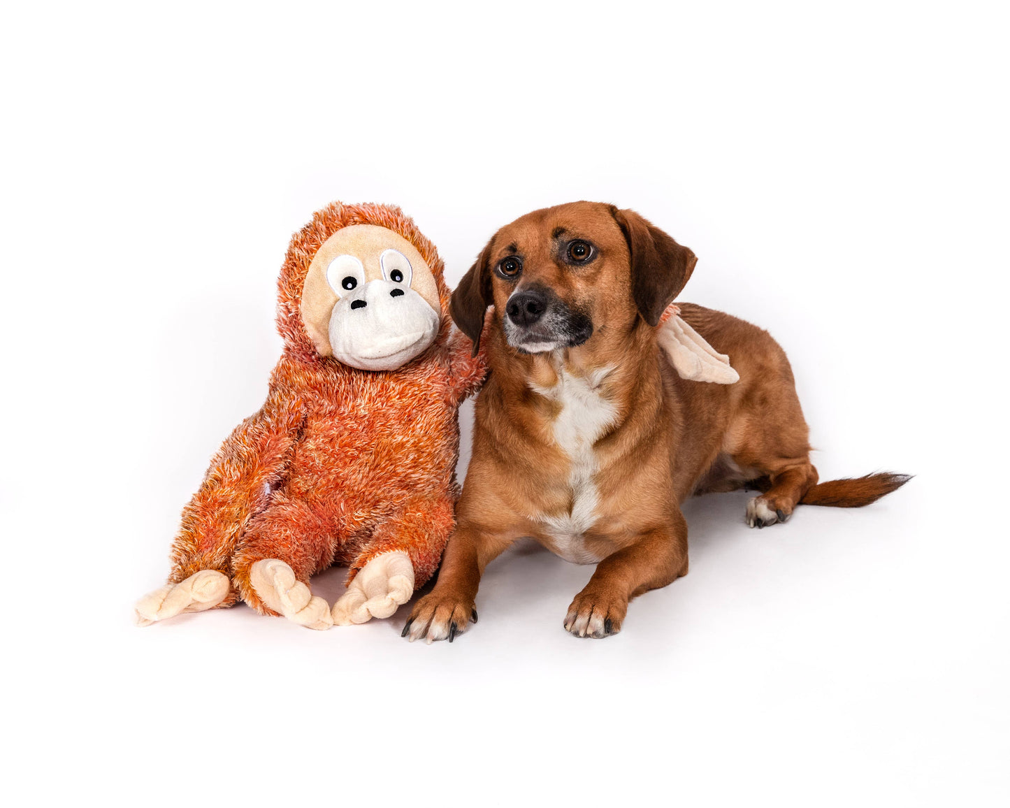 Fluffy Orangutan Plush Dog Toy: Small