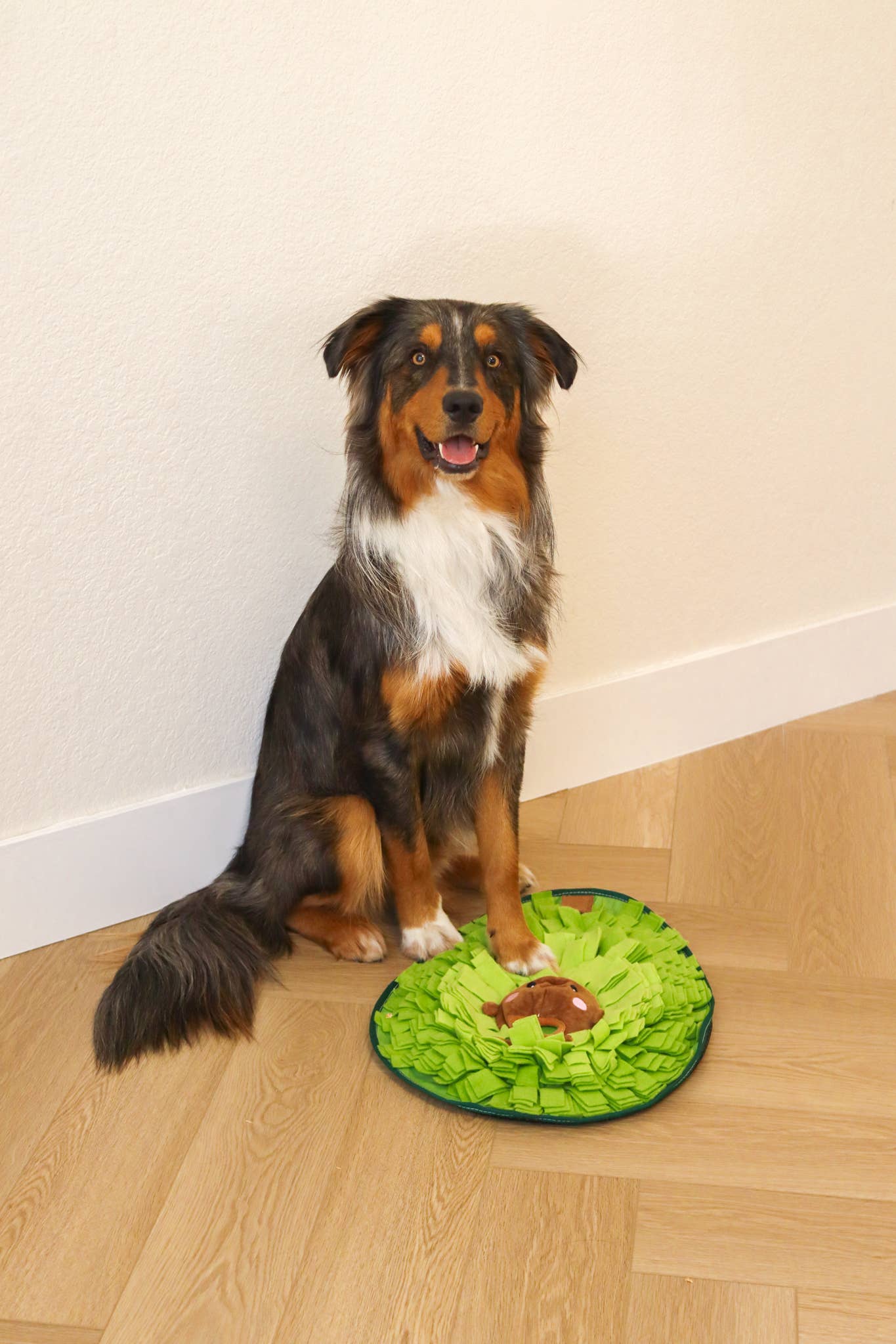 Avocado Pal Snuffle Mat