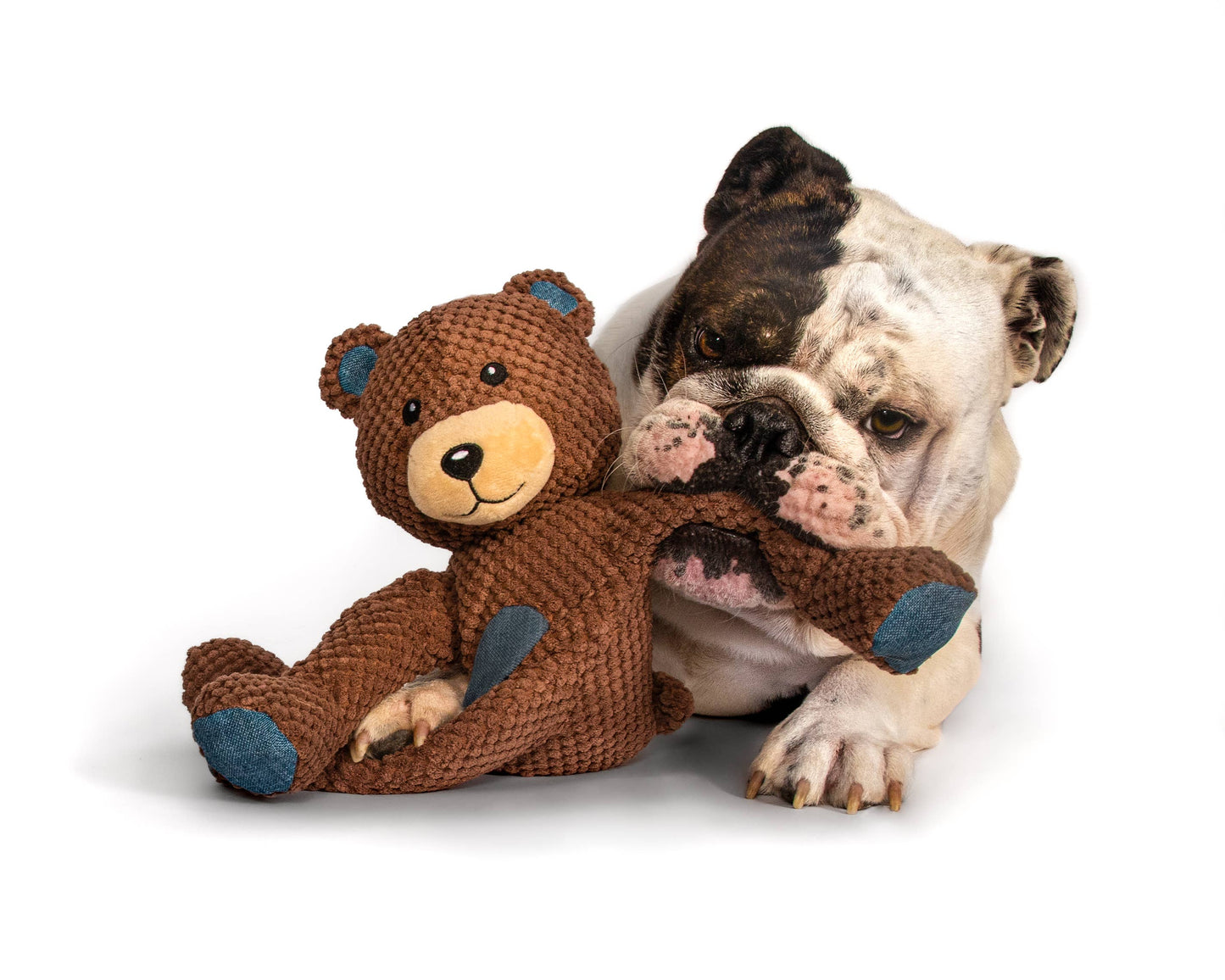 Floppy Teddy Bear Plush Dog Toy: Small