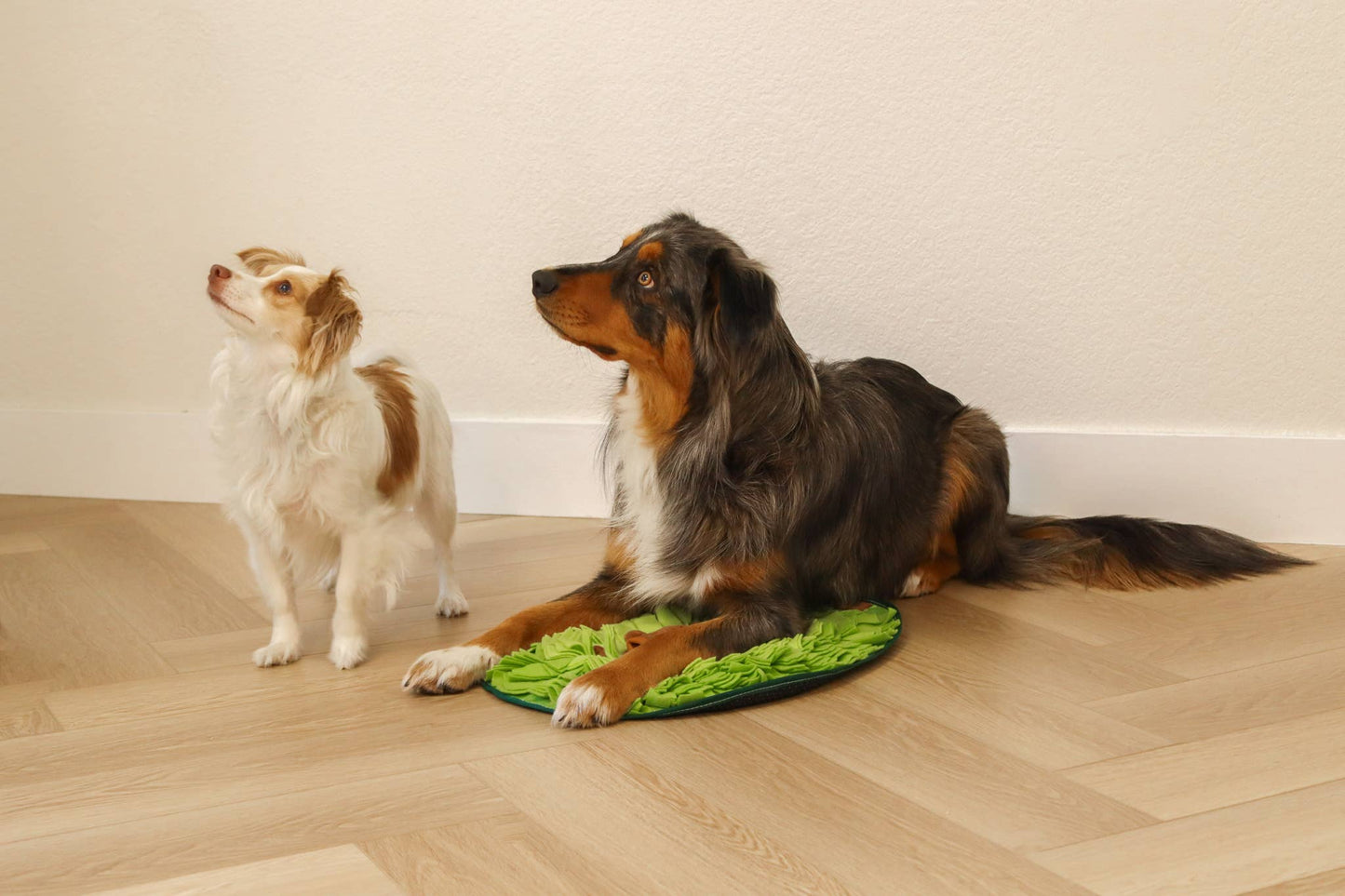 Avocado Pal Snuffle Mat
