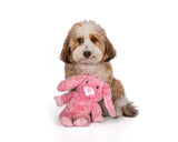 Fluffy Bunny Plush Dog Toy: Large