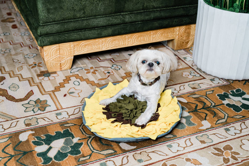 Sunflower Snuffle Mat