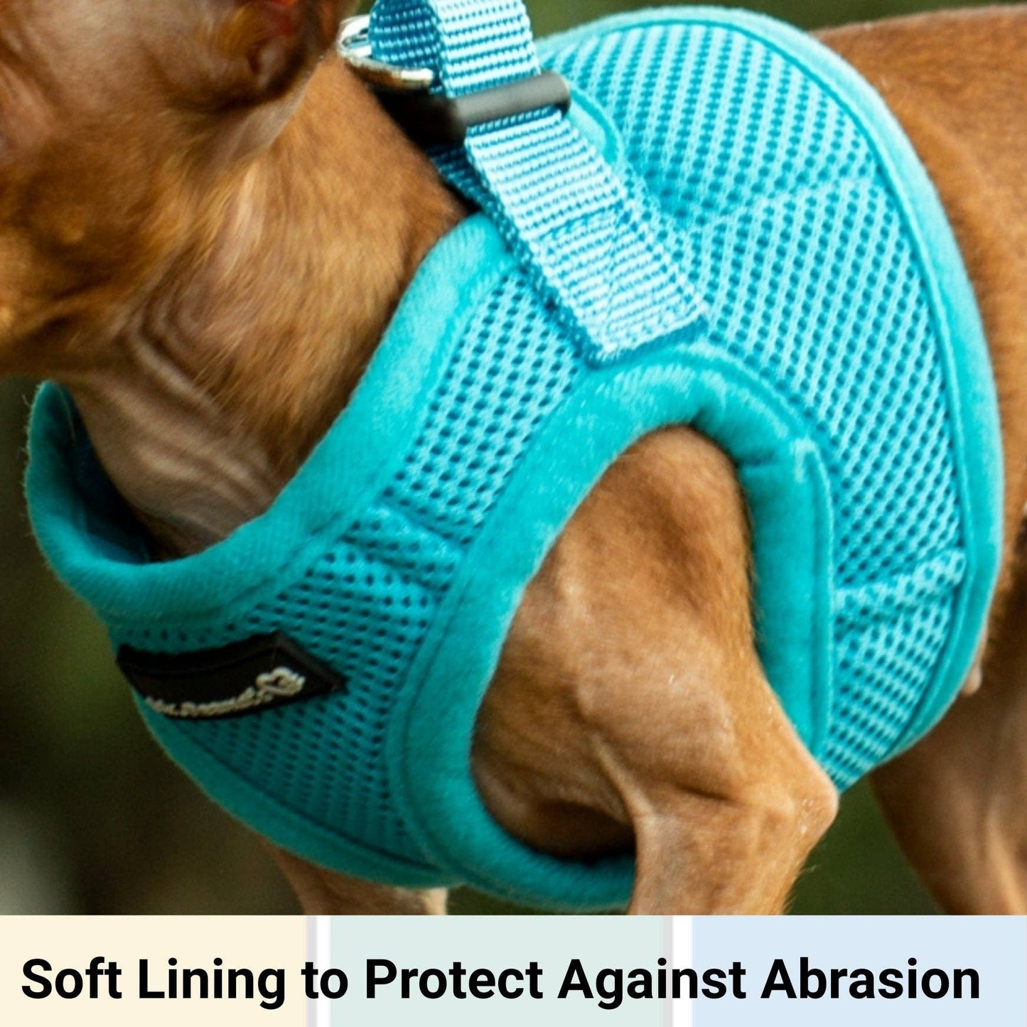 Dog/Cat Soft Mesh Step In Harness