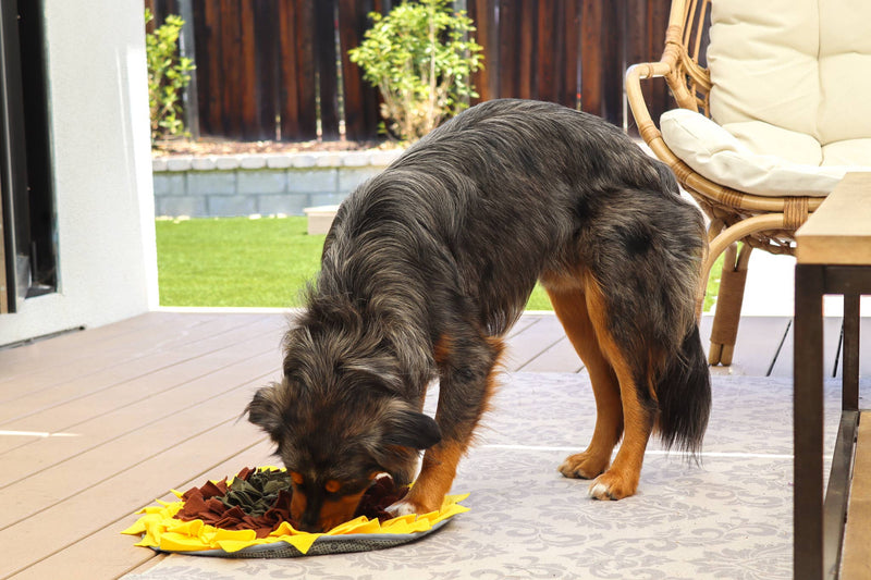 Sunflower Snuffle Mat