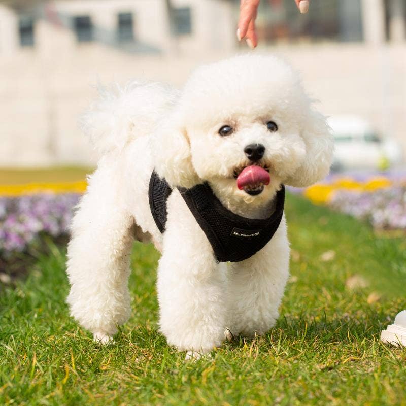 Dog/Cat Soft Mesh Step In Harness