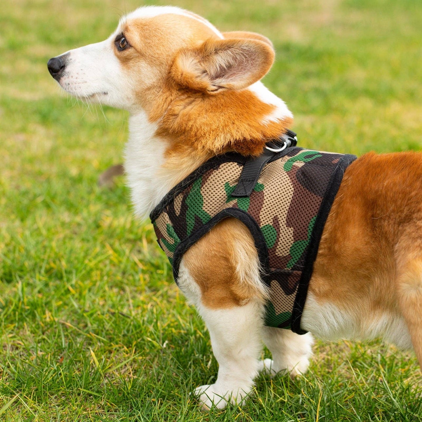 Dog/Cat Soft Mesh Step In Harness