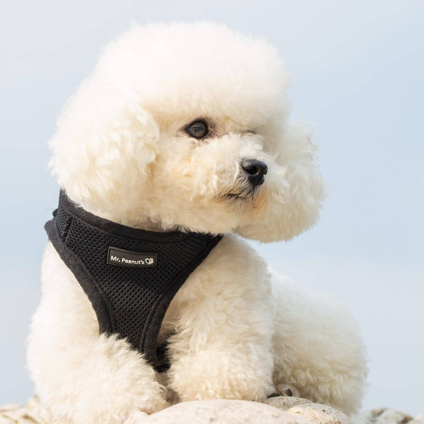 Dog/Cat Soft Mesh Step In Harness