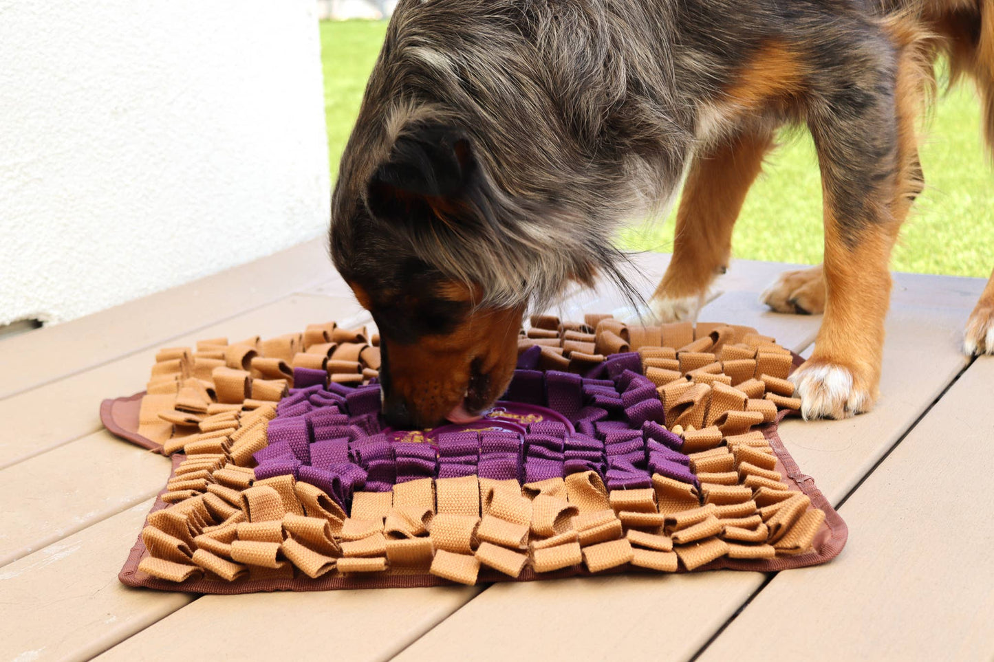 PB&J Snuffle Mat