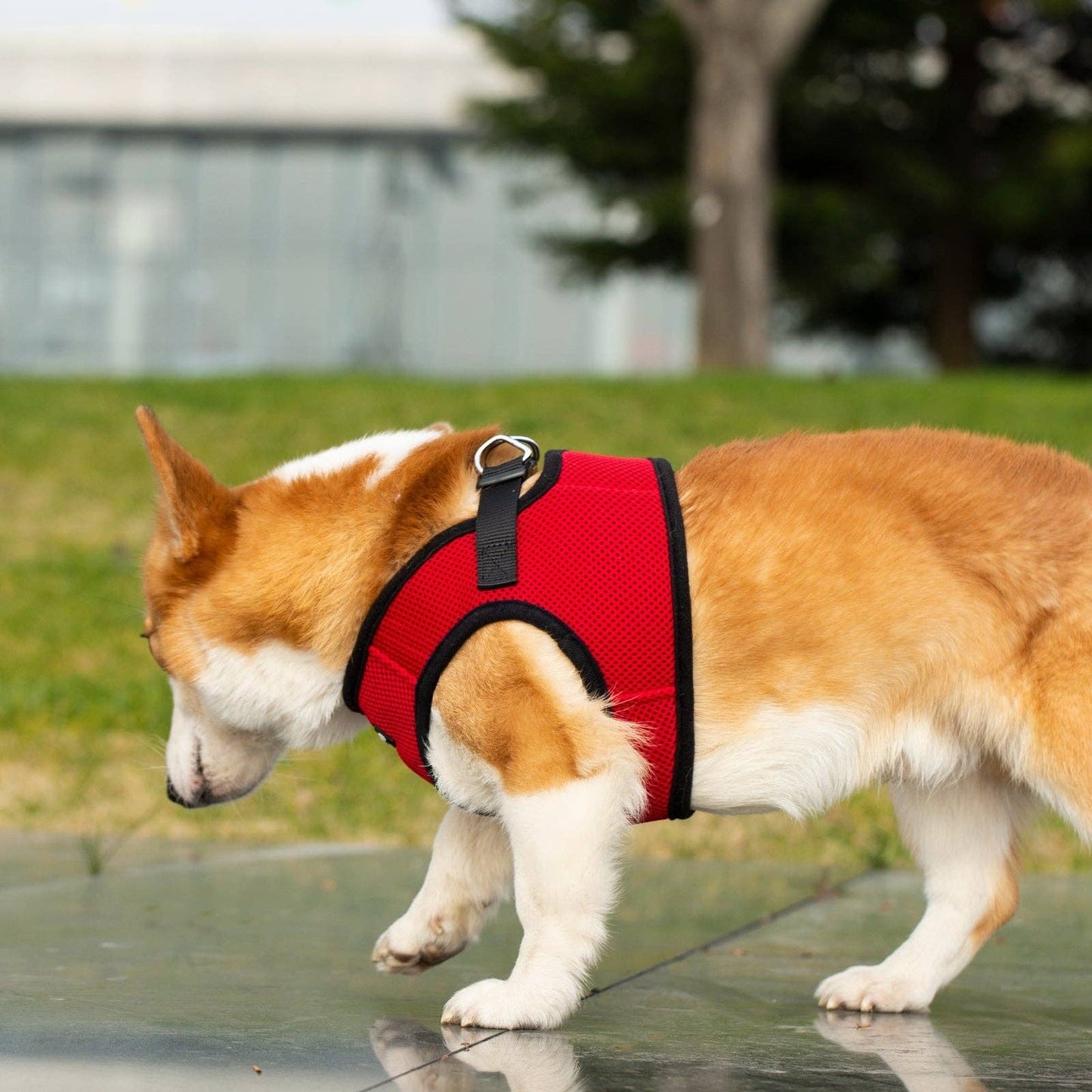 Dog/Cat Soft Mesh Step In Harness