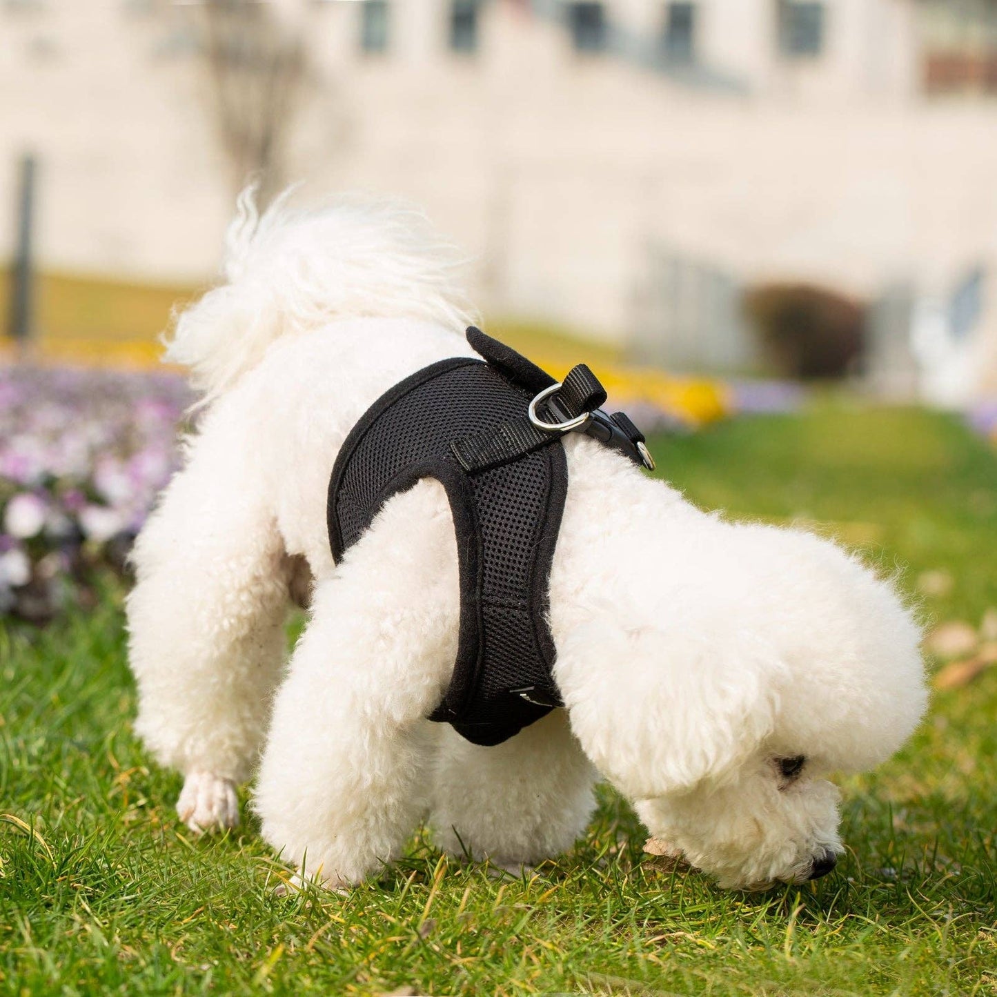 Dog/Cat Soft Mesh Step In Harness