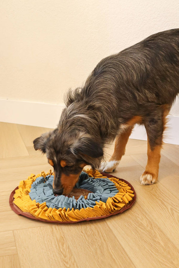 Cookie Snuffle Mat - Blue Orange