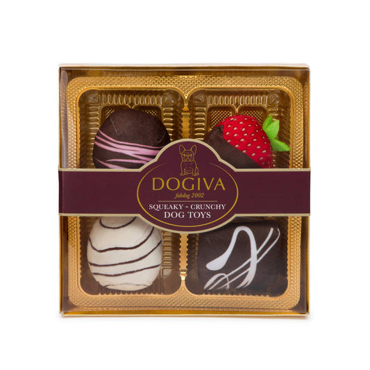 Dogiva Box of Chocolates Valentine's Day Dog Toy