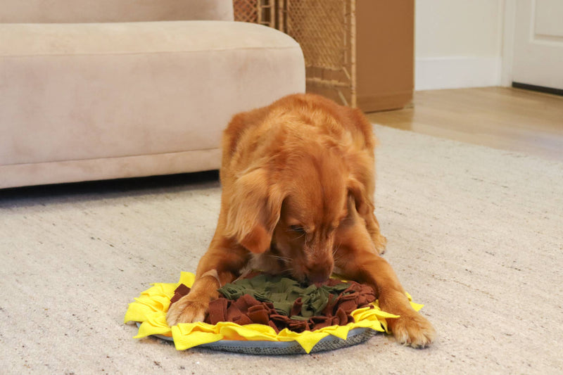 Sunflower Snuffle Mat