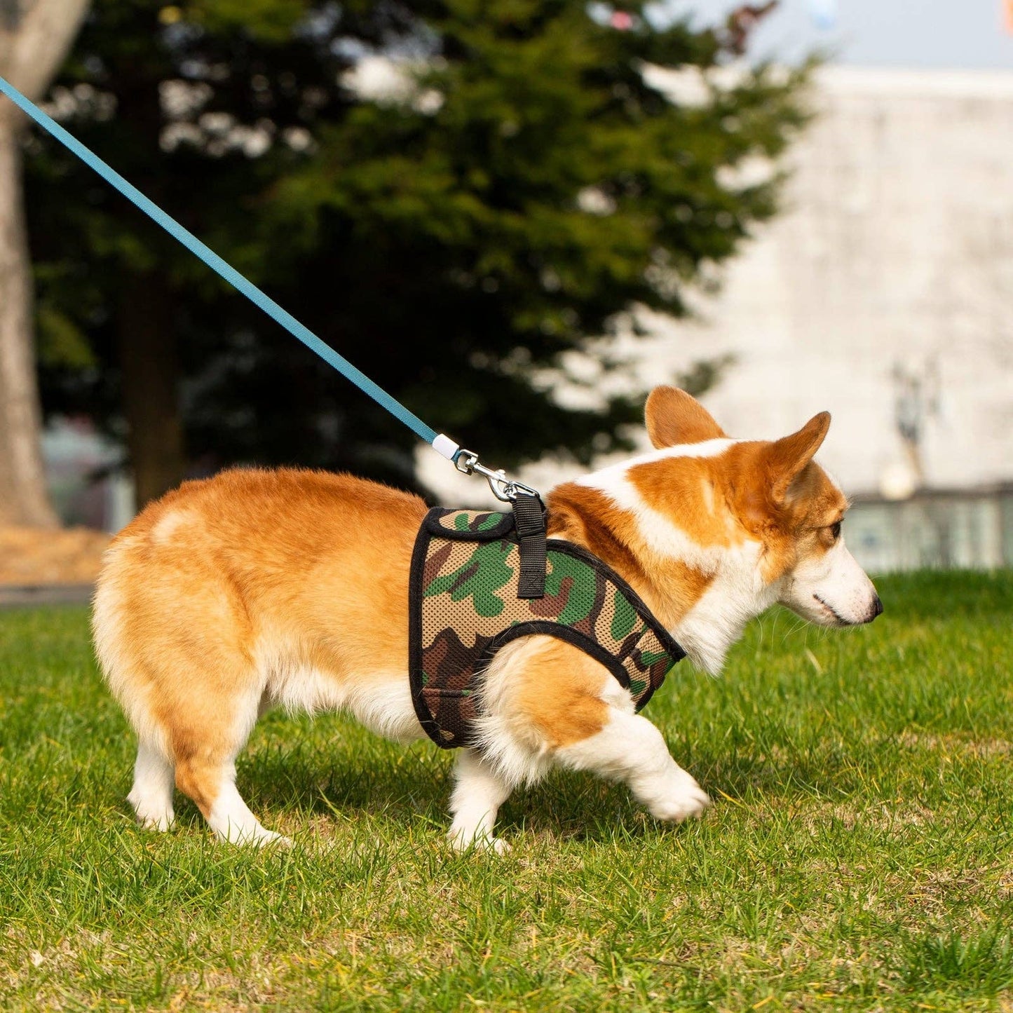 Dog/Cat Soft Mesh Step In Harness