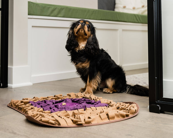 PB&J Snuffle Mat