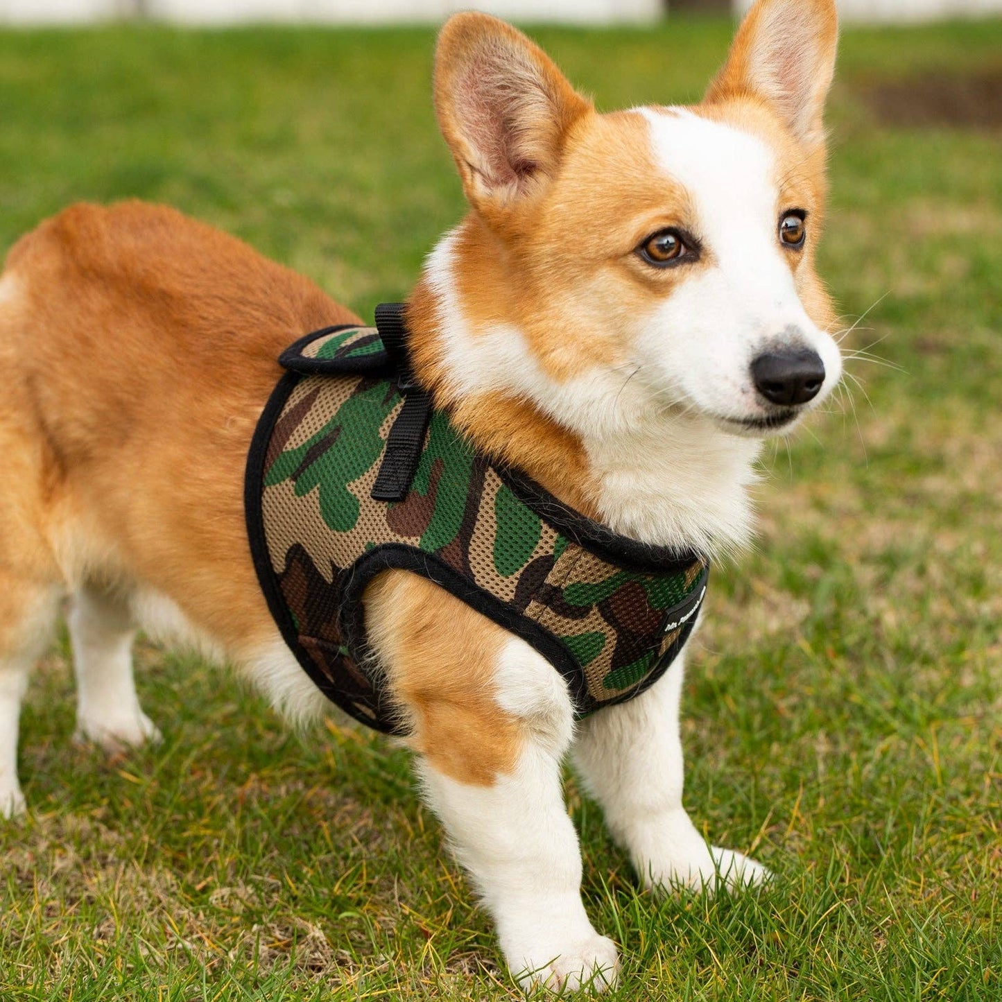 Dog/Cat Soft Mesh Step In Harness