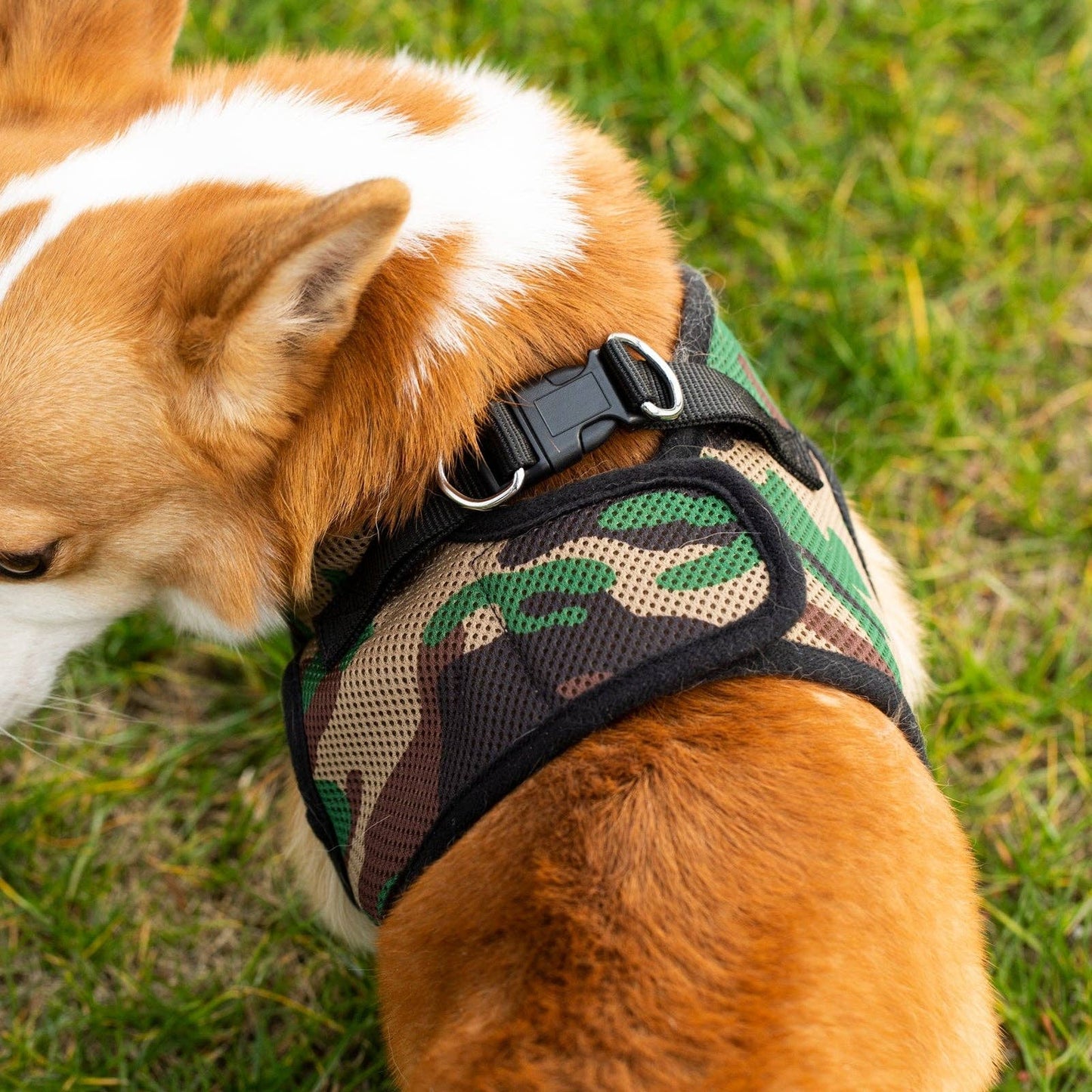 Dog/Cat Soft Mesh Step In Harness