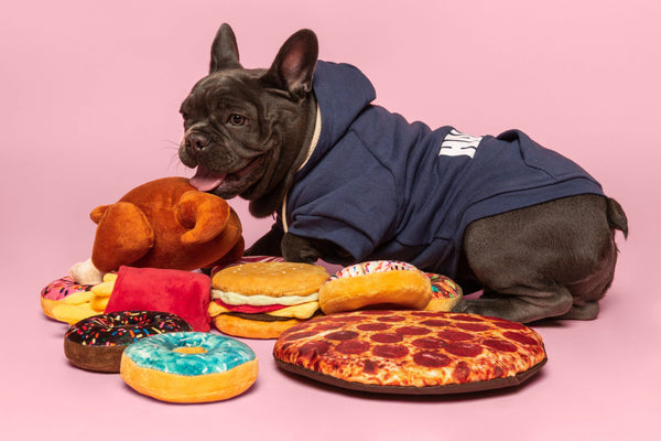 Box of Doughnuts Squeaky Dog Toy